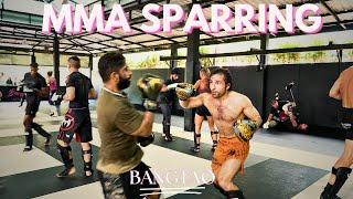 MMA Sparring  Class Highlights  George Hickman  Bangtao MMA