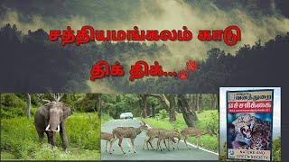 சத்தியமங்கலம் காடு  ஆபத்தான காடு  Dhimbam hills  Tamil  Travel Time