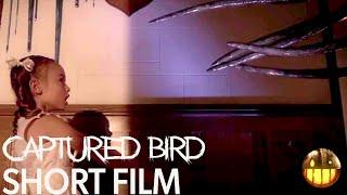 The Captured Bird Horror Short Film — Cranks Picks presented by Cranked Up Films