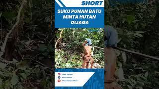 Kisah Suku Punan Batu di Kaltara