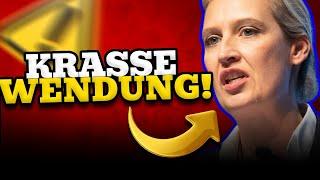 Alice Weidel I NEUE WAHLEN KOMMEN