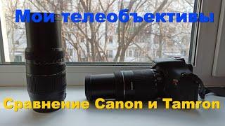 Мои телеобъективы. Сравнение Tamron AF 70-300mm и Canon EF-S 55-250mm