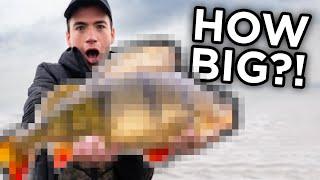 I Caught The Fish Of A LIFETIME… IMPOSSIBLE PERCH