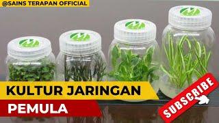 Dasar Kultur Jaringan #kulturjaringan #tissueculture #pertanian