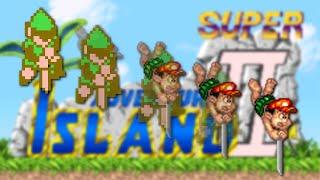 Super Adventure Island II  Did You Play This?