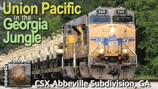 8Q4k Union Pacific in the Georgia Jungle Trains on the CSX Abbeville Sub GA 0423-06042022