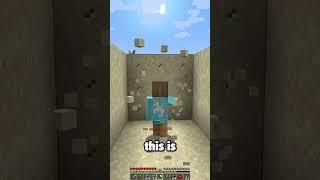 Minecraft Mods Mojang Is ADDING To The Game? 