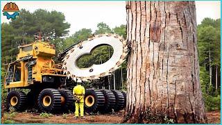 101 Incredible Fastest Big Chainsaw Cutting Tree Machines Working At Another Level