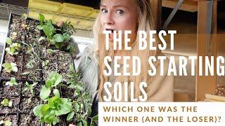 We tested popular seed starting soils youll be surprised to learn which one did best