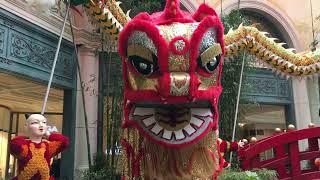 2024 Chinese New Year in Bellagio Las Vegas Year of the Dragon Conservatory