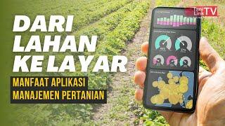 Transformasi Pertanian Modern dengan Aplikasi Manajemen Pertanian