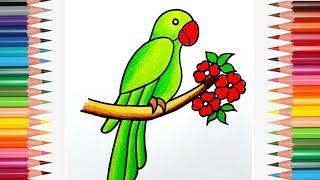 How To Draw Parrot For Beginners  Parrot Drawing Colour  Parrot Drawing Tutorial  Bird Drawing