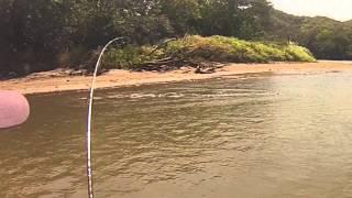 PESCA DE ROBALOS EN COSTA RICA 2