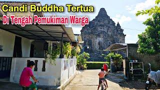 Candi Buddha Tertua Yogyakarta Di Tengah Pemukiman Dekat Candi Prambanan  Wisata Jogja