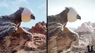 Meerkat Demo Comparison UE4 vs UE5.1 LIGHTING STUDY