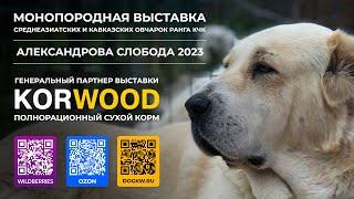 АЛЕКСАНДРОВА СЛОБОДА 2023  Монопородная выставка среднеазиатских и кавказских овчарок