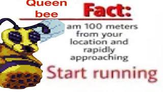 NOT THE BEES AFTER NERF 1.4.4 - NOT THE BEES