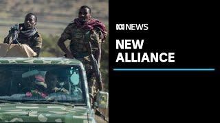 Ethiopias Tigray forces and other anti-government groups form alliance to oust PM  ABC News