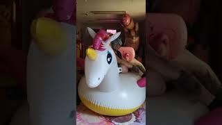 inflation ride accidental pop featuring patches the Unicorn