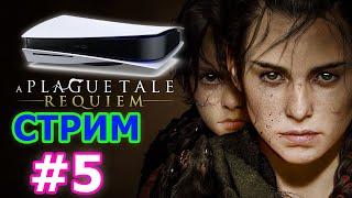 A Plague Tale Requiem ФИНАЛ стрим на PS5 #5 - ПЛАГ ТЕЙЛ РЕКВИЕМ НА PS5 НА РУССКОМ ПЕРЕЗАЛИВ