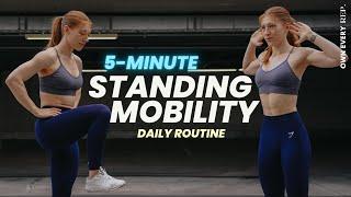 5 Min. Daily Mobility  All Standing Routine - Do This Anywhere  Quick & Easy  No Talking