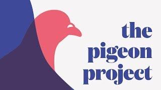 The Pigeon Project