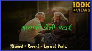 Mayako Doli Chadhai -Yash Kumar Pabita Pariyar Slowed+ Reverb+Lyrical vedio#nepalisong#mayakodoli