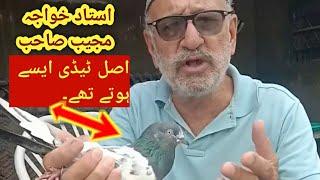 Ustad Khawaja Mujeeb  Pure Teddy kaise hotay thay ?  Orignal Teddy Blood Line by Khawaja Mujeeb