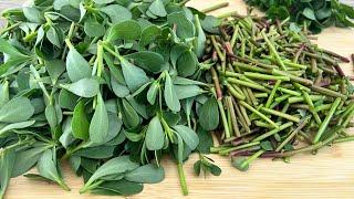 Very Tasty Purslane is Maked in This Way  You Will Love This Recipe  Enable Subtitles