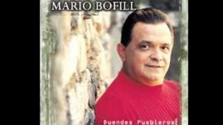 El Hijo Del Chamamé - Mario Bofill