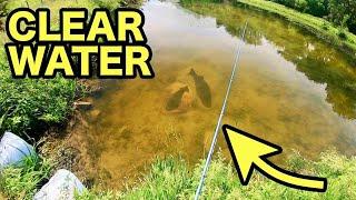 CRYSTAL CLEAR FARM POND has INSANE FISHING