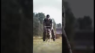 #tacticalshooter #malinois #dog #belgianmalinois #dogs #k9 #military #foryou #germanshepherd #usa