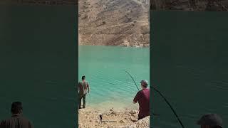 صید سونگ در برنامه کارون ۴ پاییز ۱۴۰۱  Mangar fish caught on fishing tour Iran