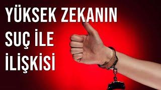 YÜKSEK ZEKANIN SUÇA ETKİSİ - APTALLAR NASIL SUÇ İŞLER ?