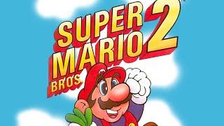 Super Mario Bros. 2 dunkview