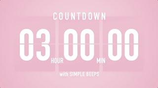 3 Hours Countdown Flip Clock Timer  Simple Beeps 
