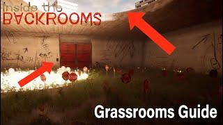 Inside the Backroom Grassrooms Guide
