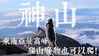 神山太美了吧，爬山廢物爬到快哭出來也甘願！東南亞最高峰爬起來！Mt.Kinabalu｜沙巴｜爬山｜馬來西亞