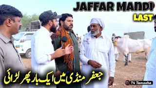 Today Biggest last Jaffar Mandi - live Bargaining 2024 - dangerous fateh jangi bull 2024 - Qurbani