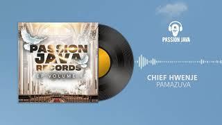 Passion Java Records ft Chief Shumba Hwenje -  Pamazuva Audio visual