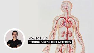 Easy Lifestyle Habits for Stronger Arteries and Healthier Blood Flow