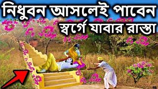 বৃন্দাবন  নিধুবন আসলেই পাবেন স্বর্গে যাবার রাস্তা #vrindavan। brindabon বৃন্দাবন দর্শন dham sebak