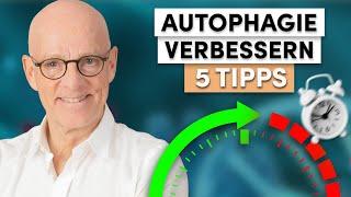 Intervallfasten Diese 5 Tipps steigern die Effektivität der Autophagie