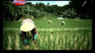 TVC Mie Sedaap - Petani.mpeg