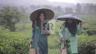Raw Free Stock Footage - Two Girls After Harvesting Tea