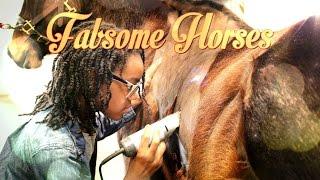 Fabsome Horses Johnny Gets a Hair Cut