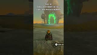 EASY NEW 1.2.1 Master Sword UPGRADE Glitch in Tears of the Kingdom