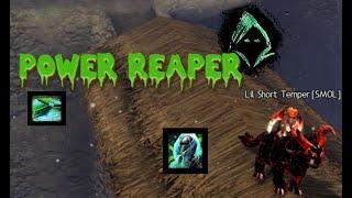 Reaper and Harbinger Roaming and Outnumbered WvW GW2