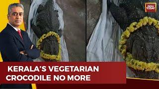 Funeral Held For Gods Own Crocodile Babiya In Kerala Tributes Pour In