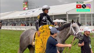 2024 Preakness Stakes Mystik Dan Continues Triple Crown Pursuit. Can Another Seize the Moment?